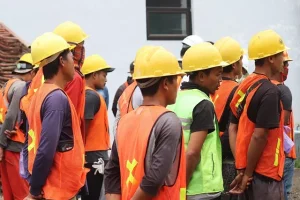 TRAINING AUDITOR