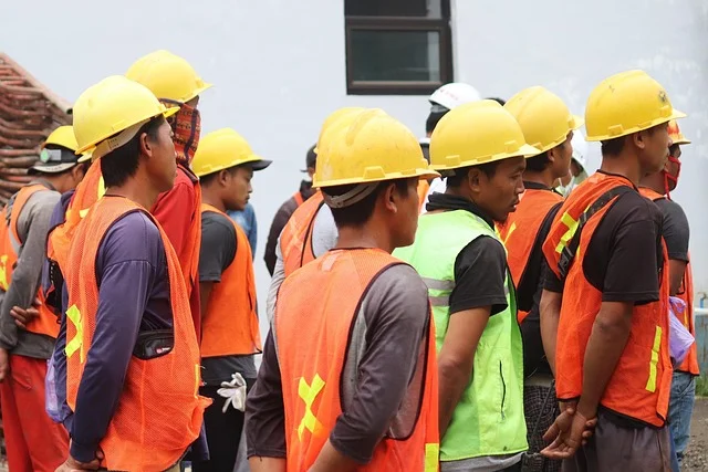 TRAINING AUDITOR